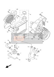 Radiator & Hose